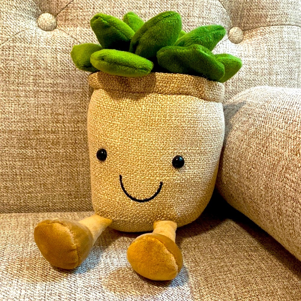 Quirky Smiley Succulent Super Plush Plant - Picture 3 of 4